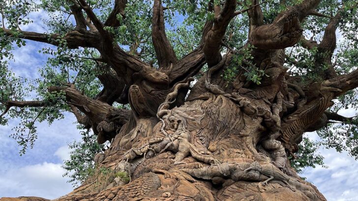 Exciting Ways to Celebrate Earth Day at Disney’s Animal Kingdom