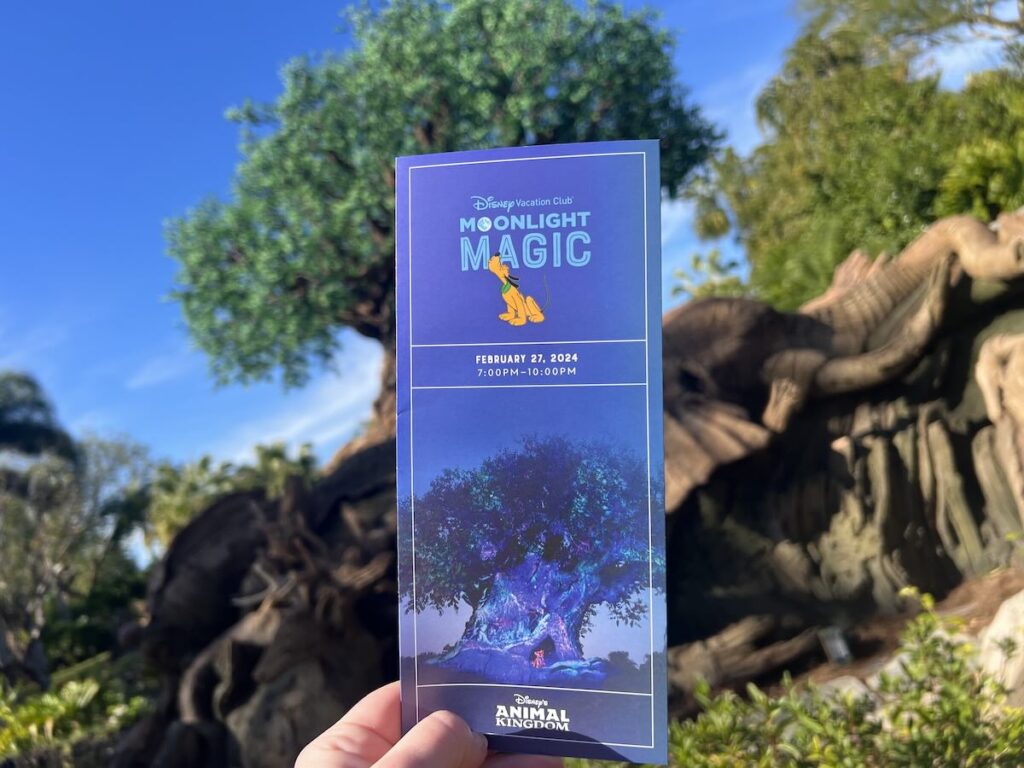 moonlight magic map and animal kingdom tree