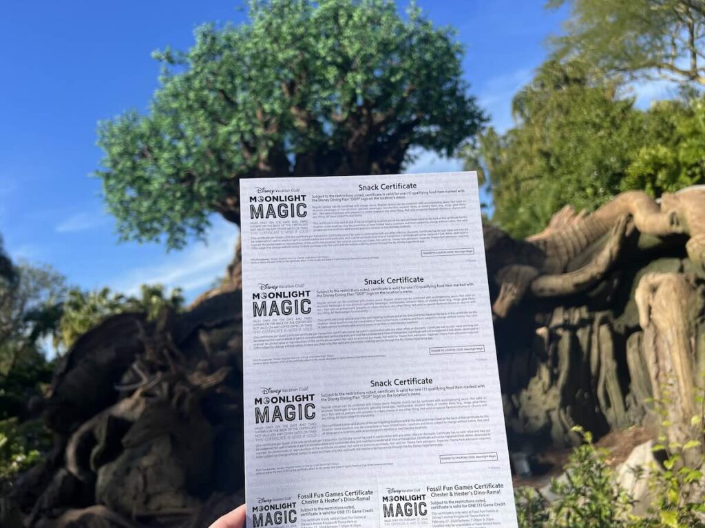 moonlight magic snack and game vouchers