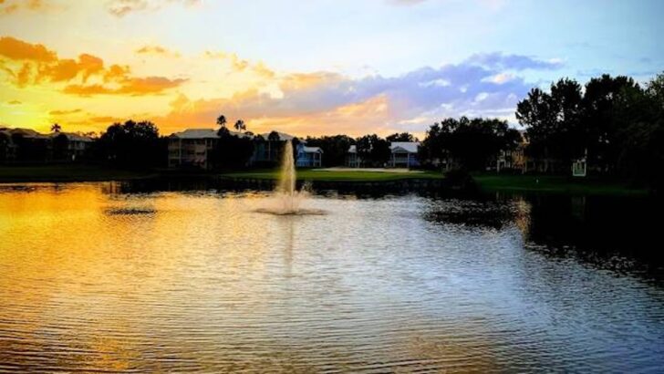 Save Big With This Offer for Select Disney Guests