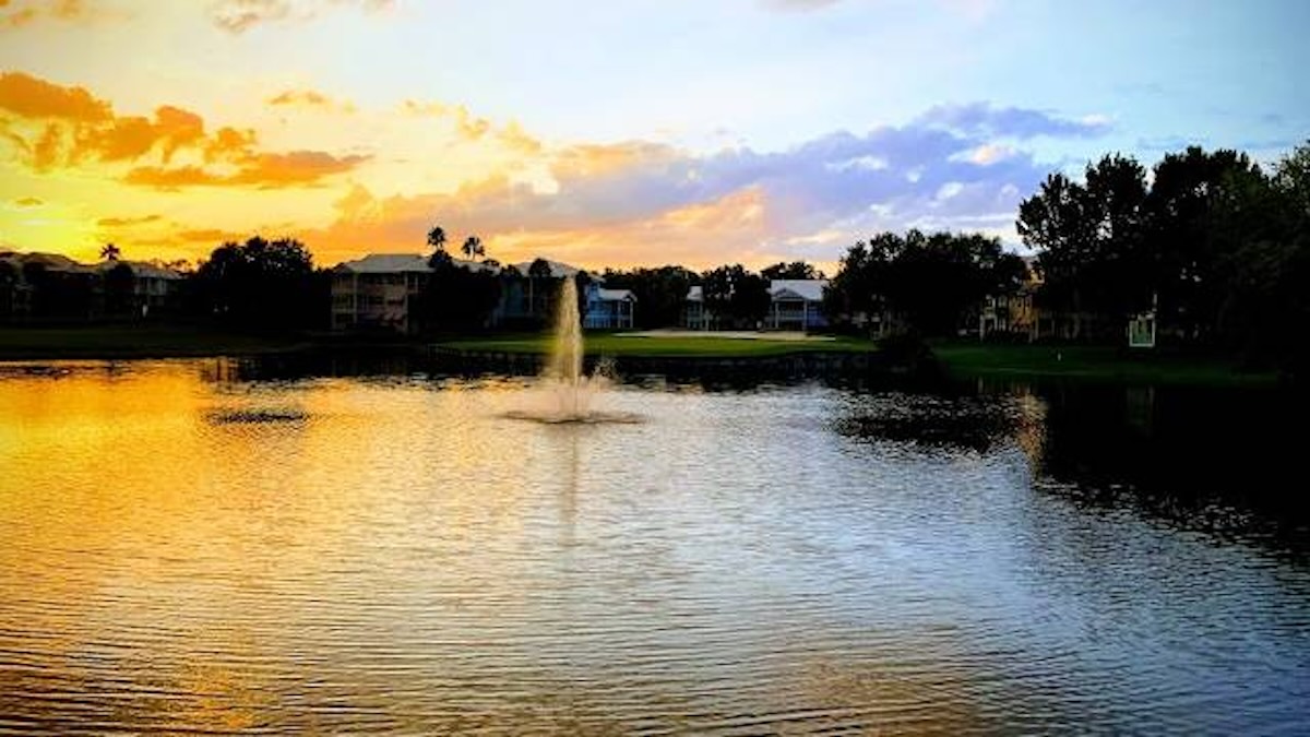 Save Big With This Offer for Select Disney Guests