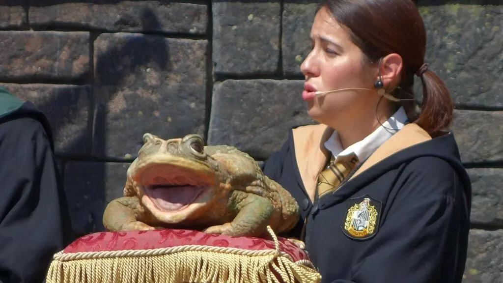 universalstudioshogsmeadeharrypotterfrogchoir