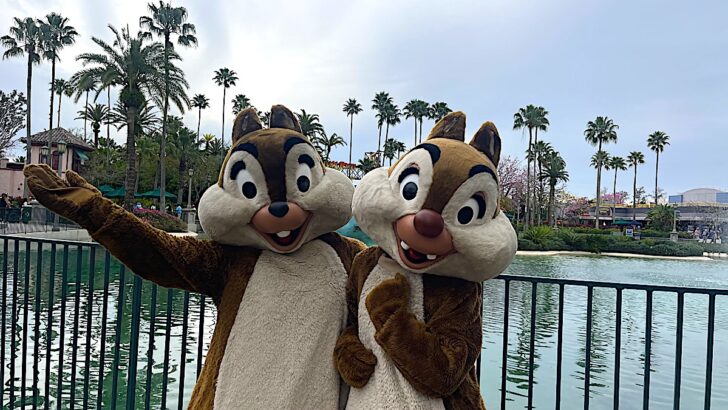 Disney’s Character Dining Gets an Exciting Menu Change