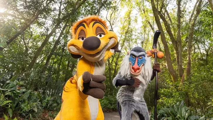 Everything You Need to Know to Meet Rafiki and Timon