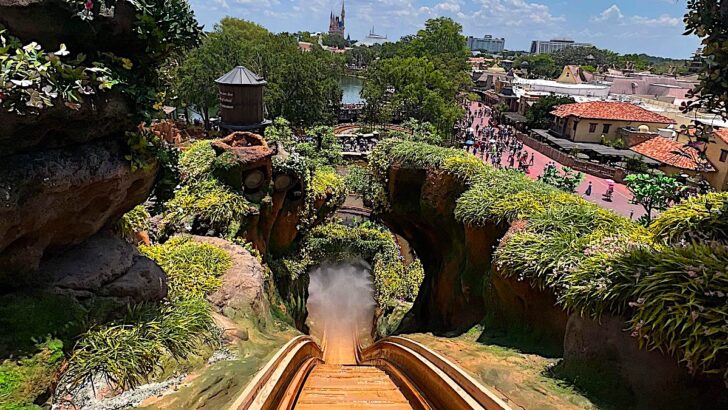 Scary Malfuctions Along Tiana’s Bayou Adventure