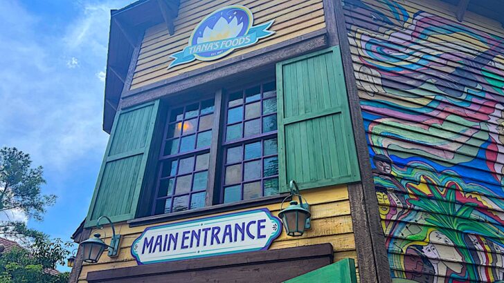 Disappointing Replacement for Play Space at Tiana’s Bayou Adventure