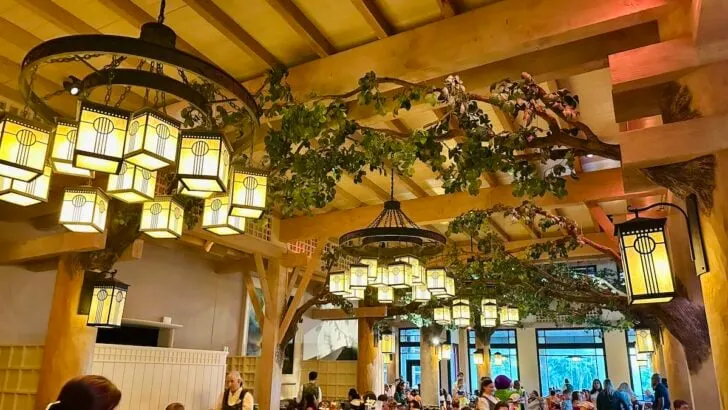 One of the Most Underrated Character Meals at Disney World