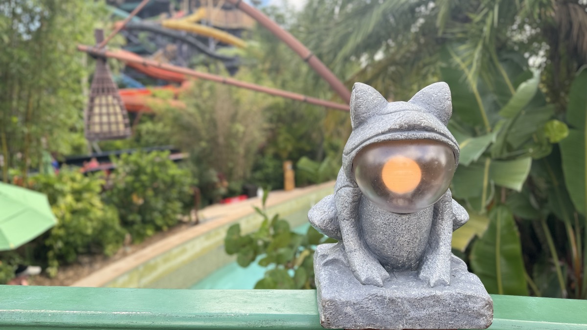 Volcano Bay Frog