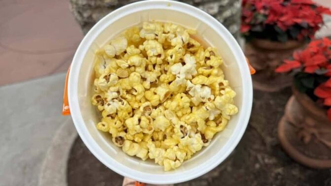 A Sweet New Popcorn Bucket Has Arrived at Disney - KennythePirate.com