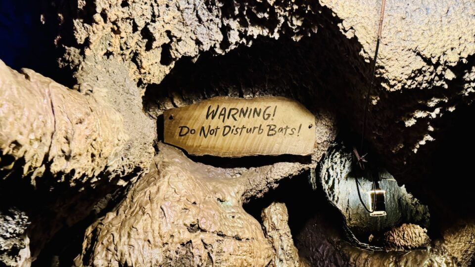 Details Revealed for Disney's New Indiana Jones Ride - KennythePirate.com