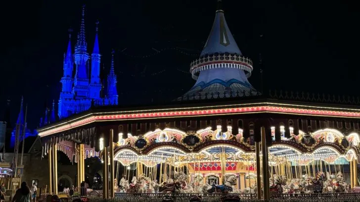Warning Issued to Walt Disney World Guests