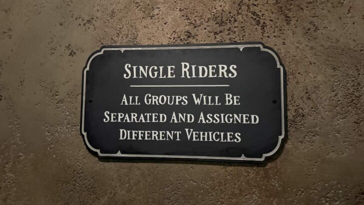 This Could Be The Best Disney World Ride For Single Riders