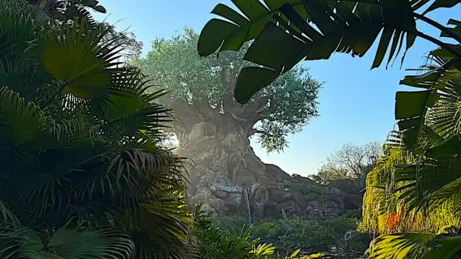 Guests Left Stranded at Disney's Animal Kingdom
