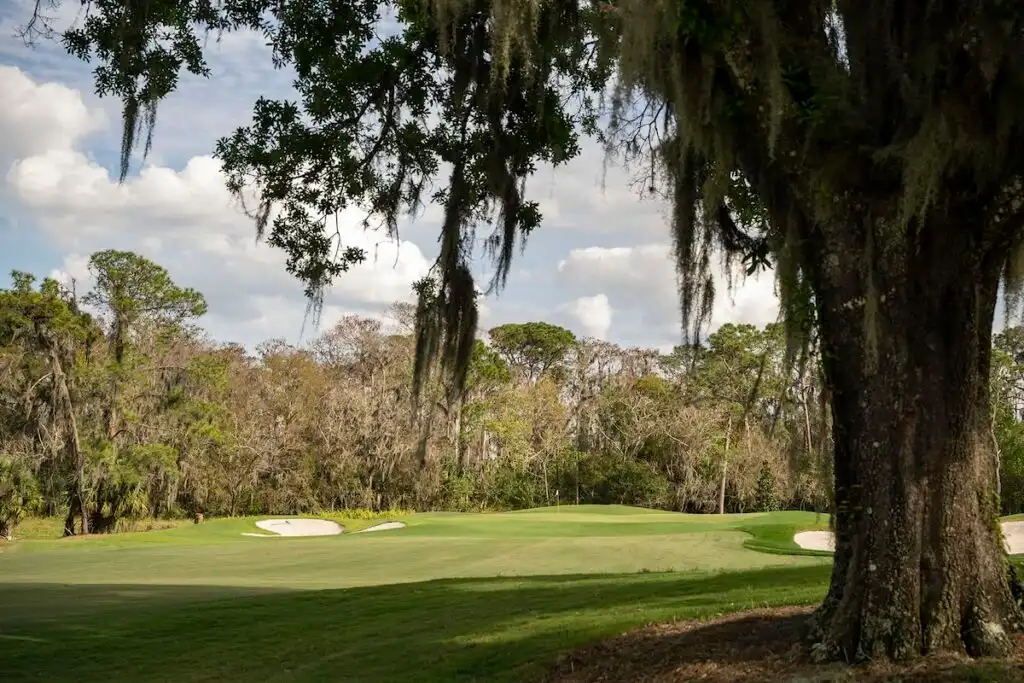 magnolia golf course 4
