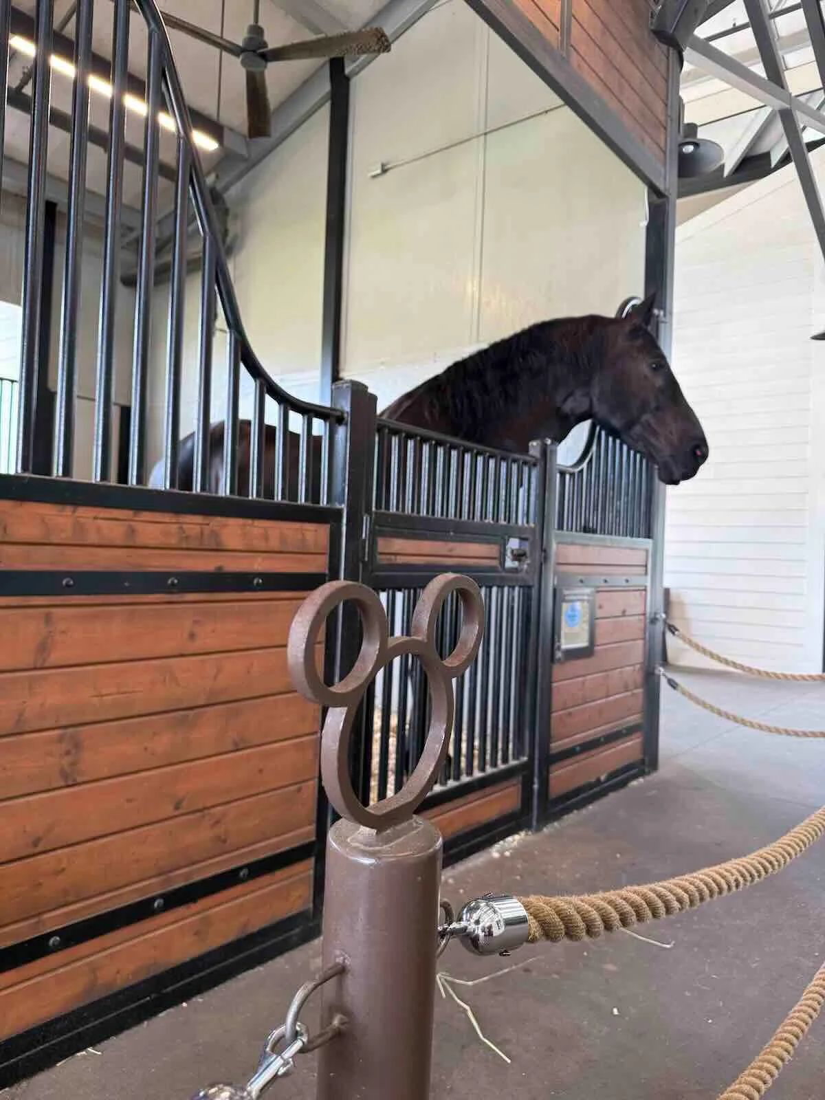 tri circle d ranch