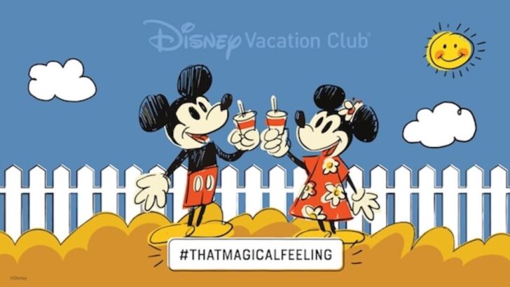 DVC Makes This Change to Make Buying More Affordable