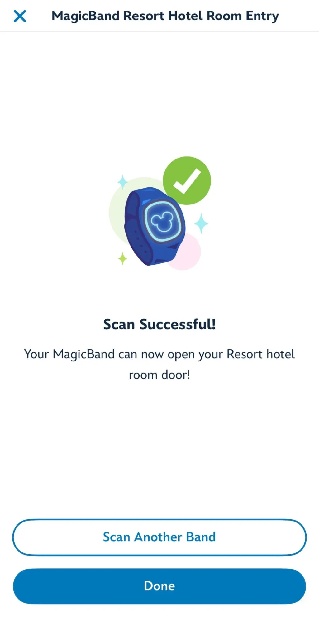 Magic band hotel pair success