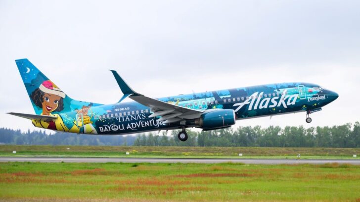 Now You can Fly on a Disney Princess Airplane