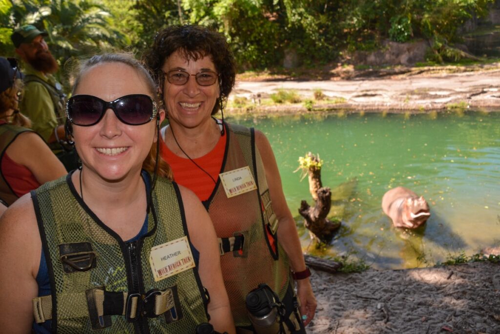 Wild africa trek hippo