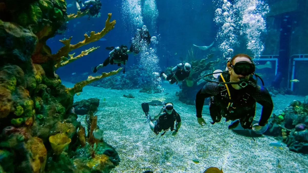 DiveQuest