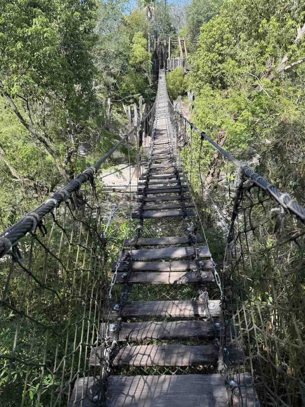 wild africa trek bridge