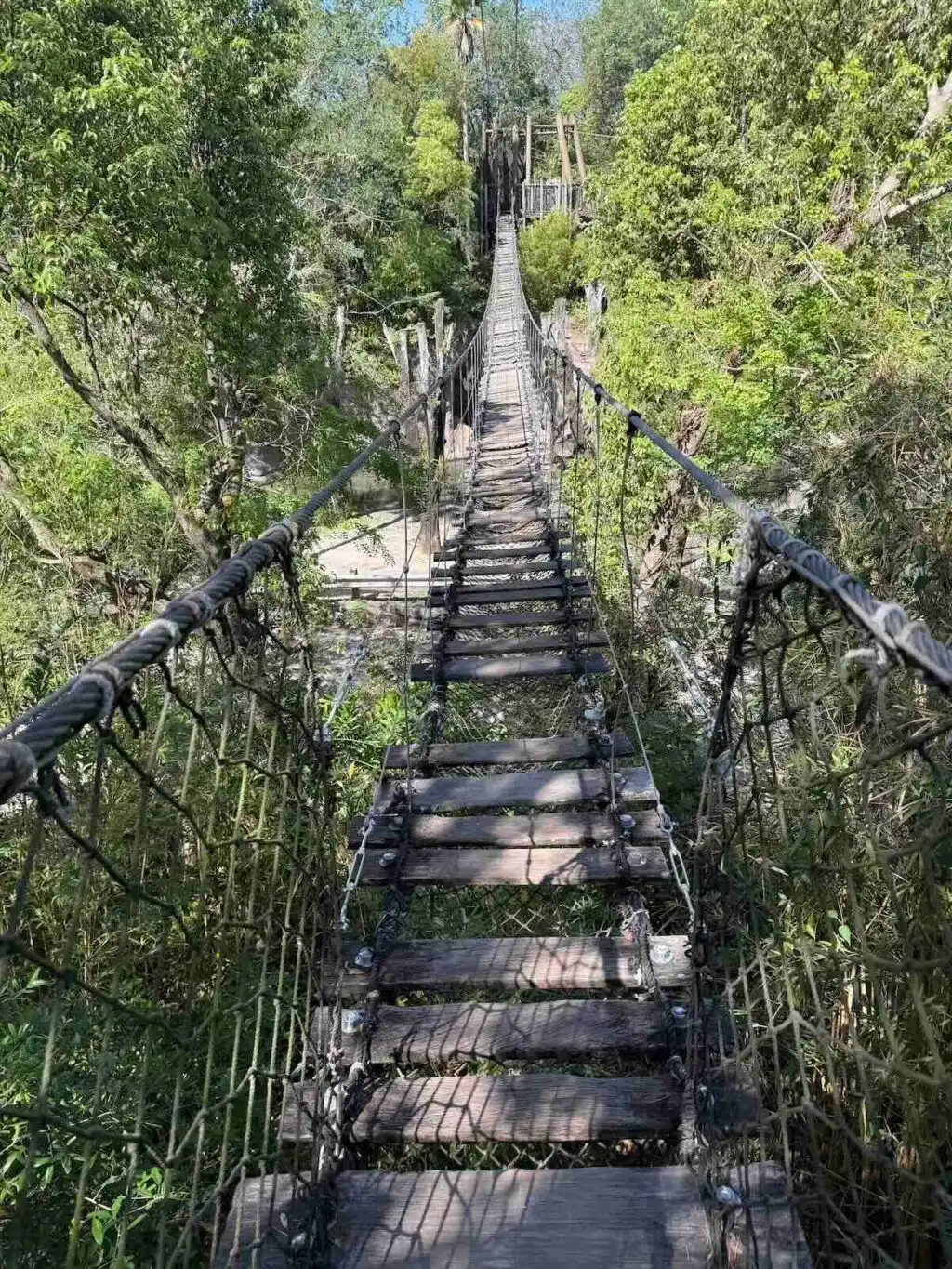 wild africa trek bridge