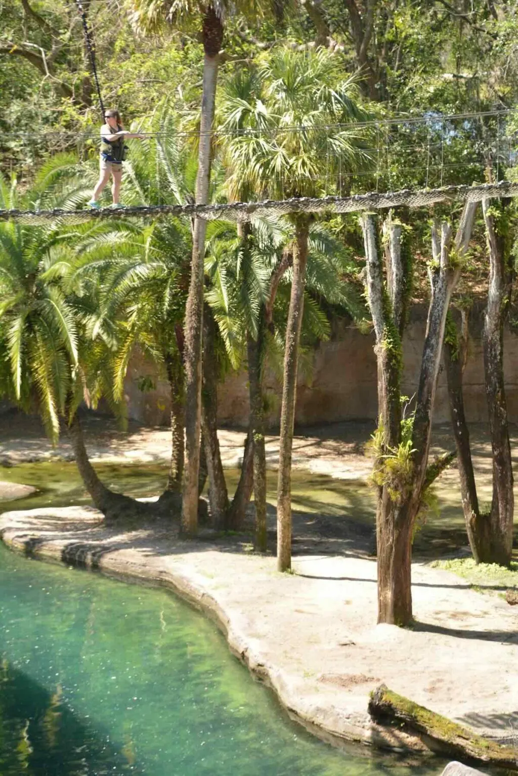 wild africa trek bridge distance