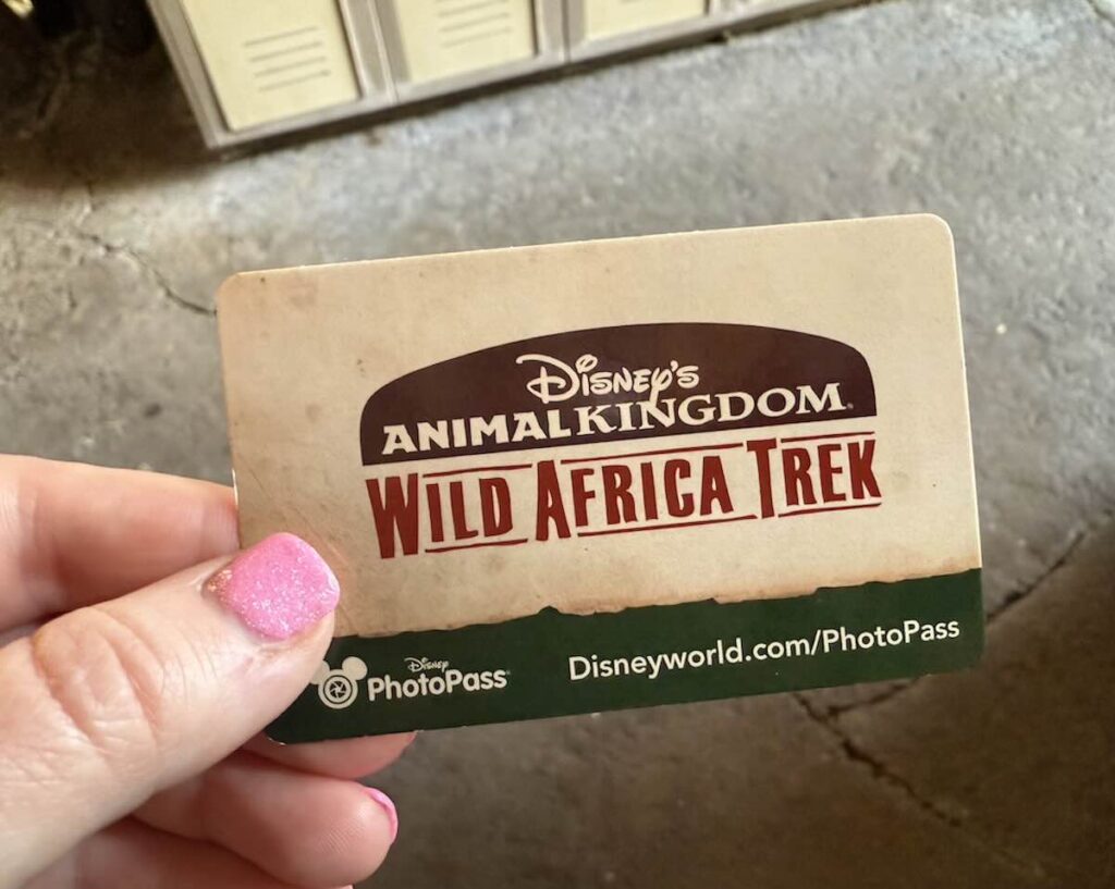 wild africa trek photo pass
