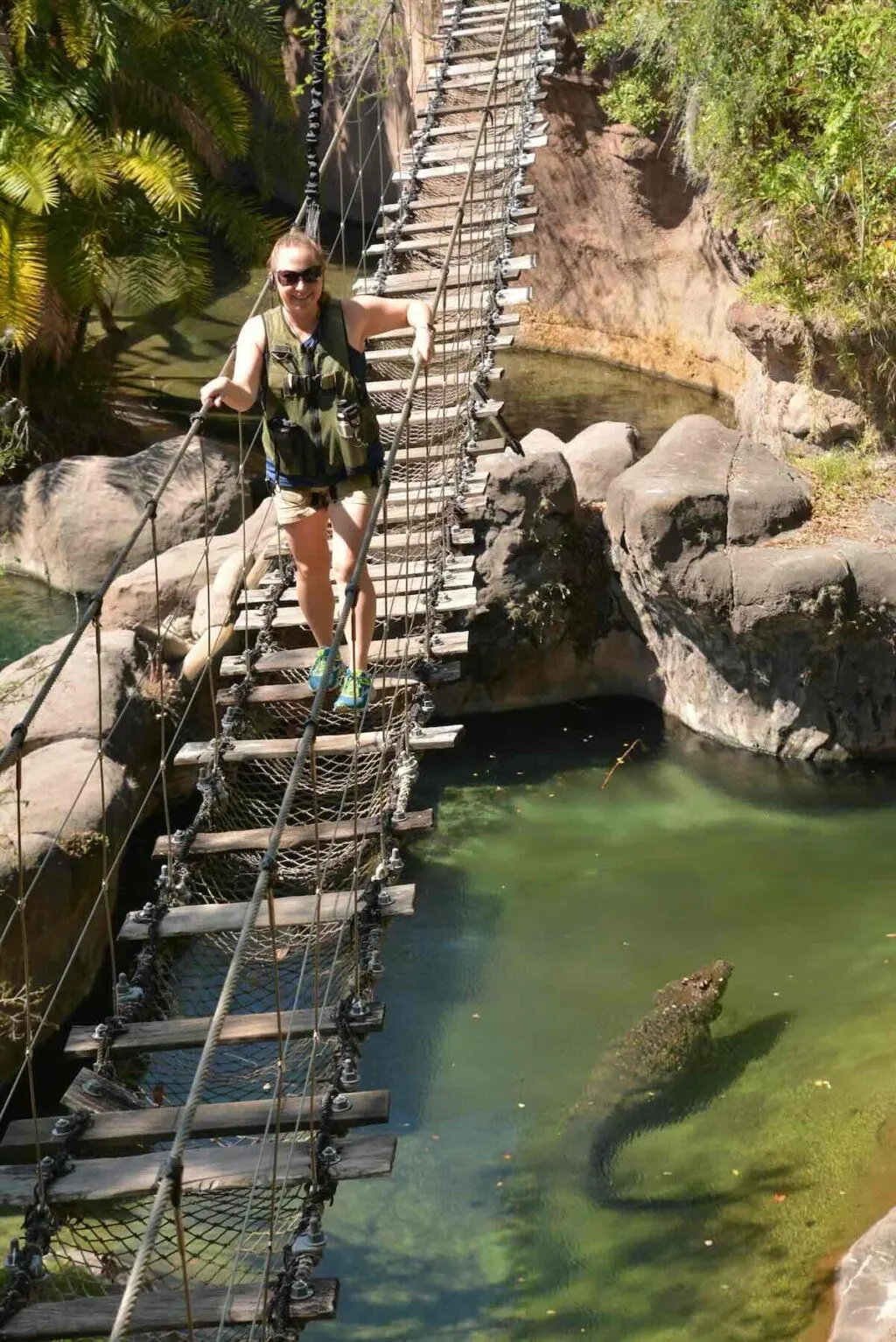 wild africa trek rope bridge