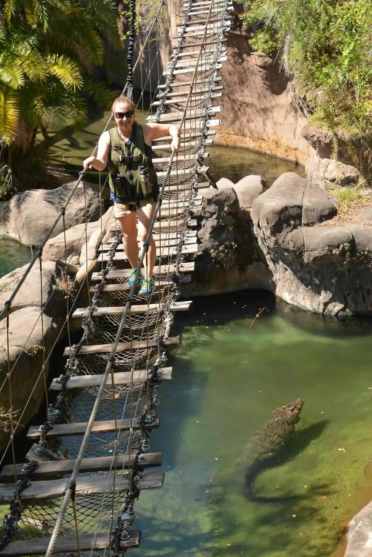 wild africa trek rope bridge
