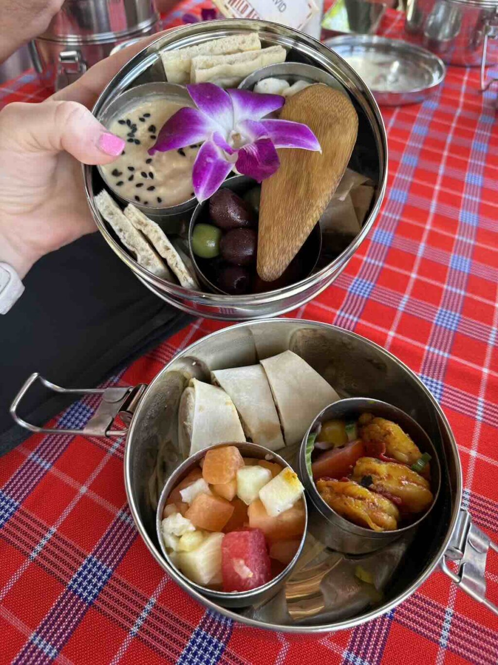 wild africa trek snack open