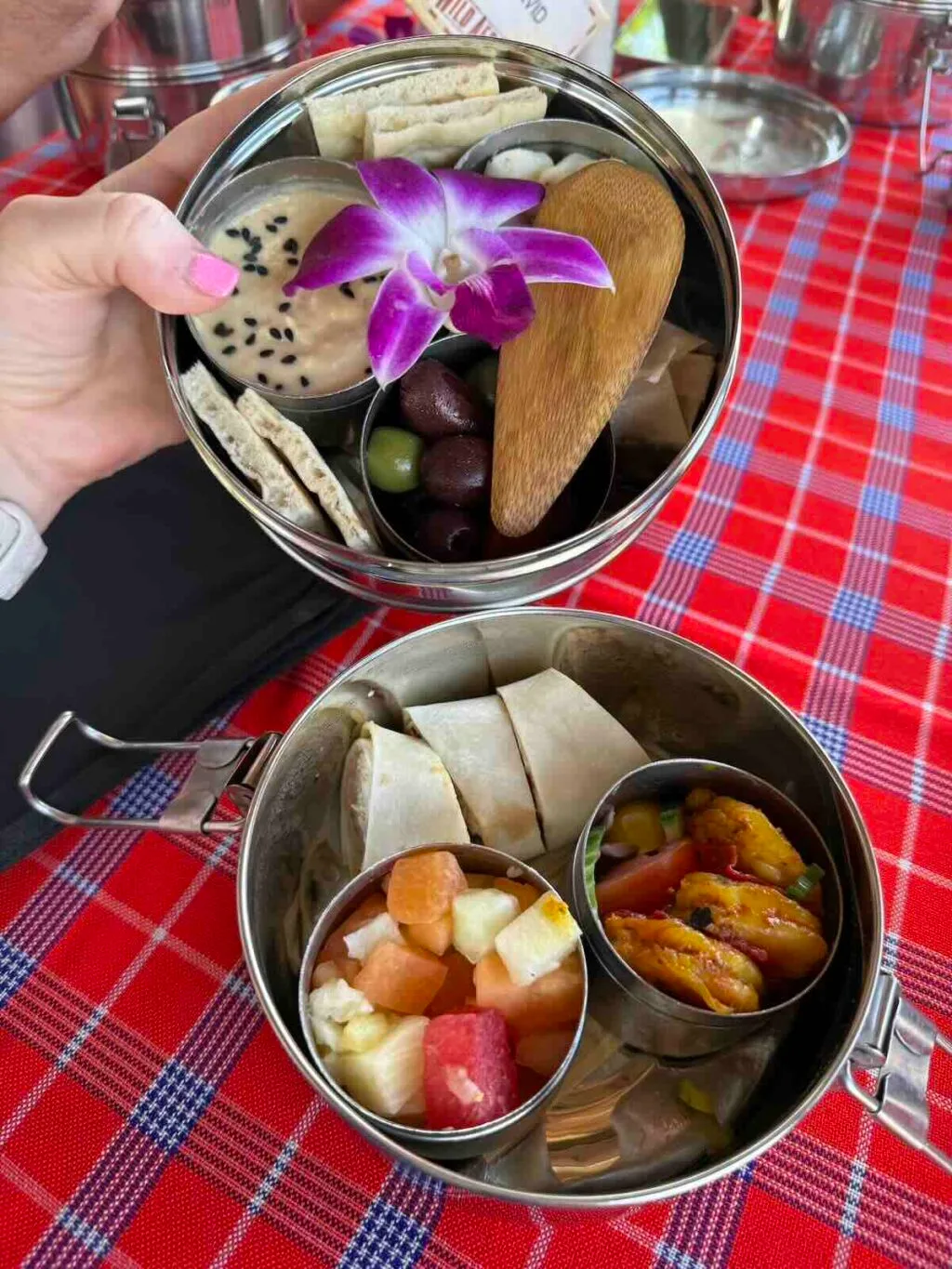 wild africa trek snack open