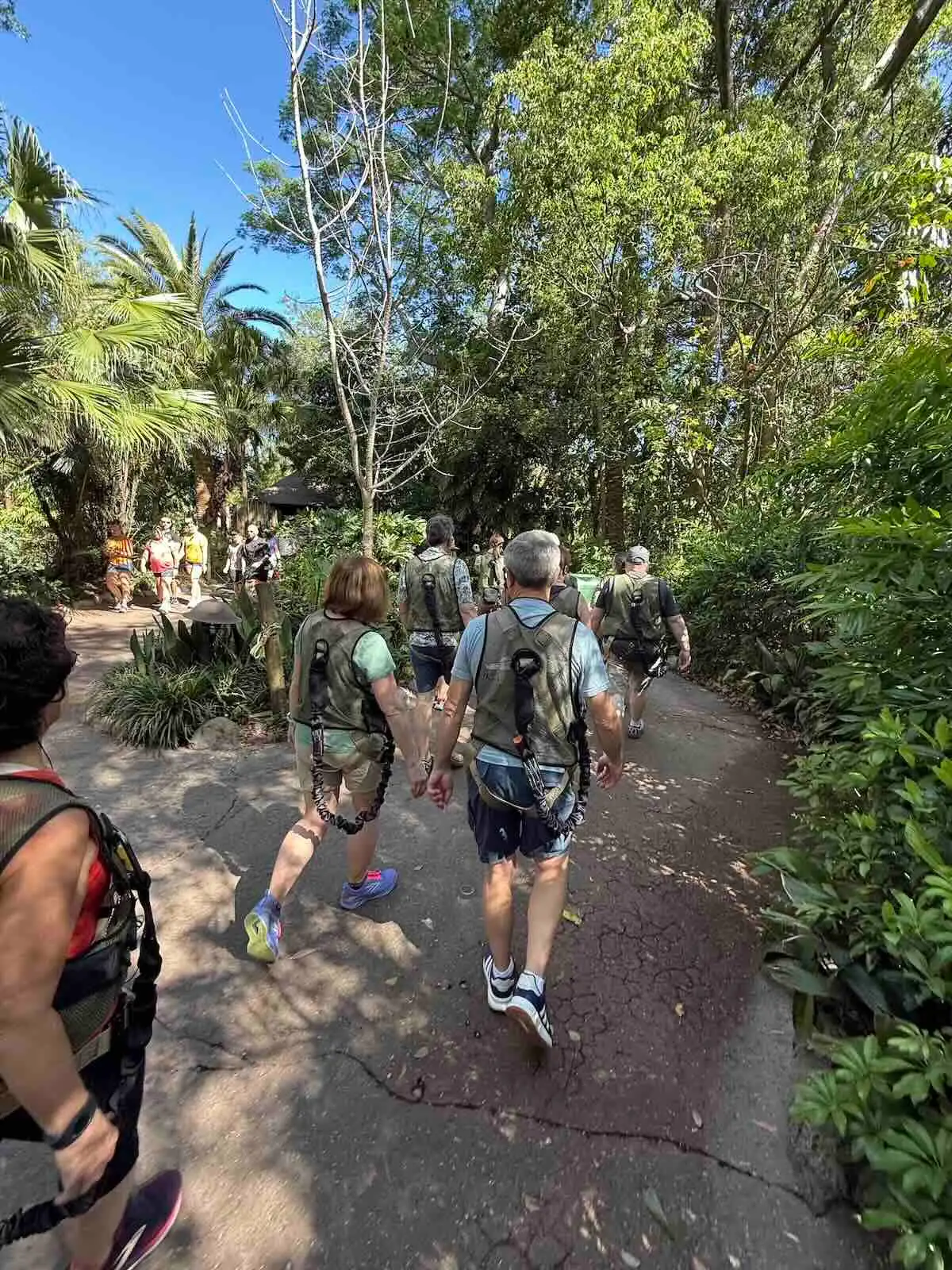 wild africa trek walk out