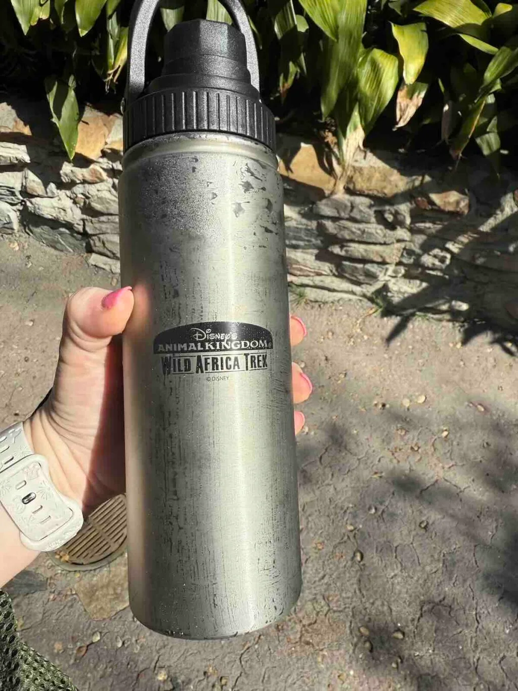 wild africa trek water bottle
