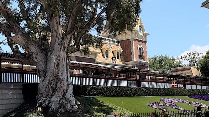 Disney Shares Tips To Make Entering Parks Easier