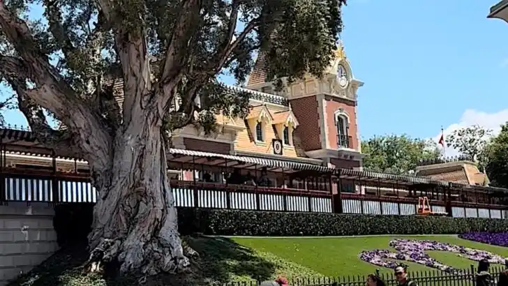 Disney Shares Tips To Make Entering Parks Easier