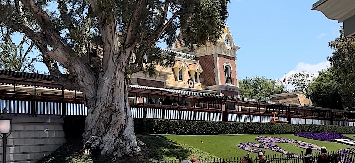 Disney Shares Tips To Make Entering Parks Easier