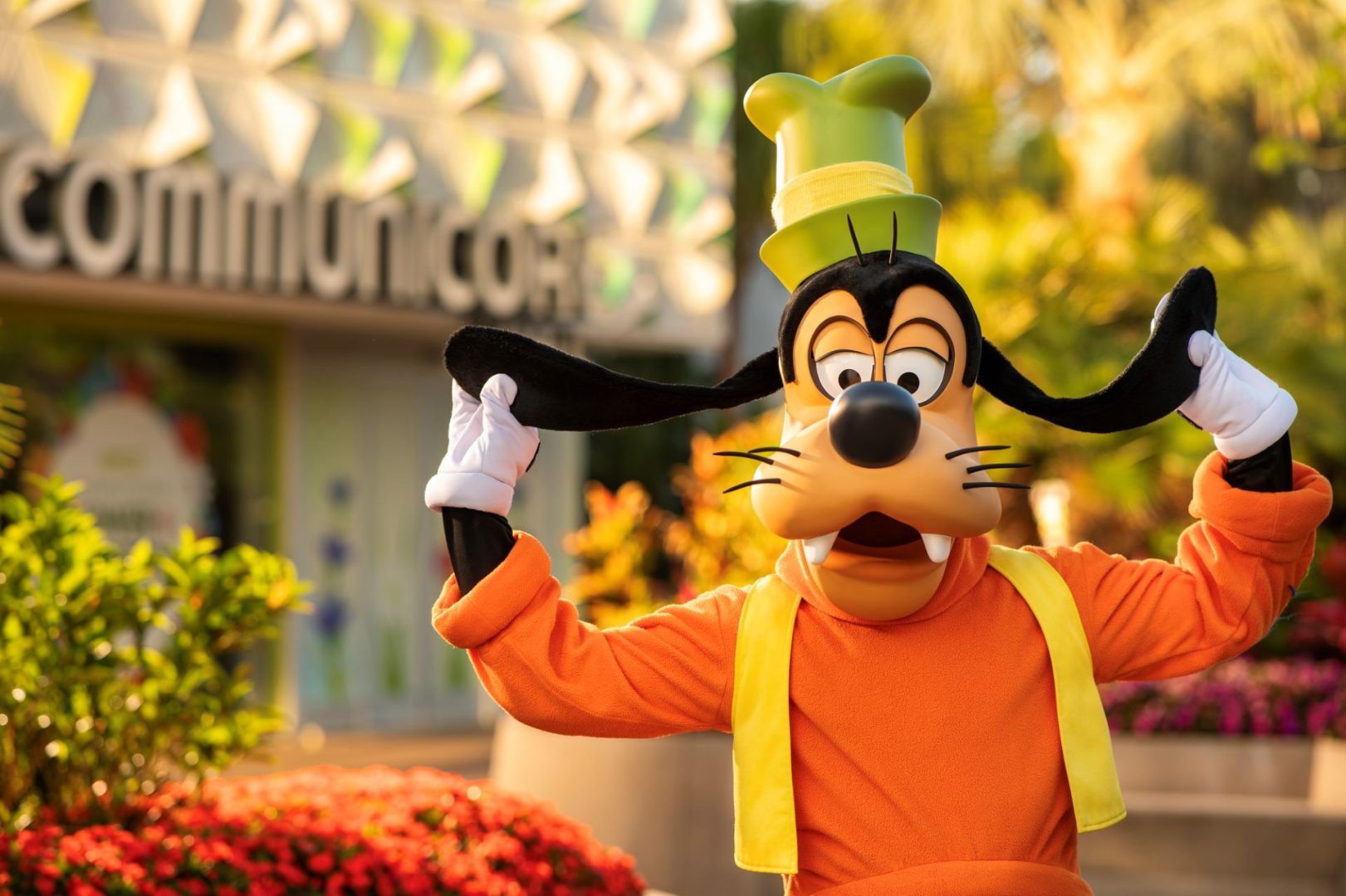 Goofy