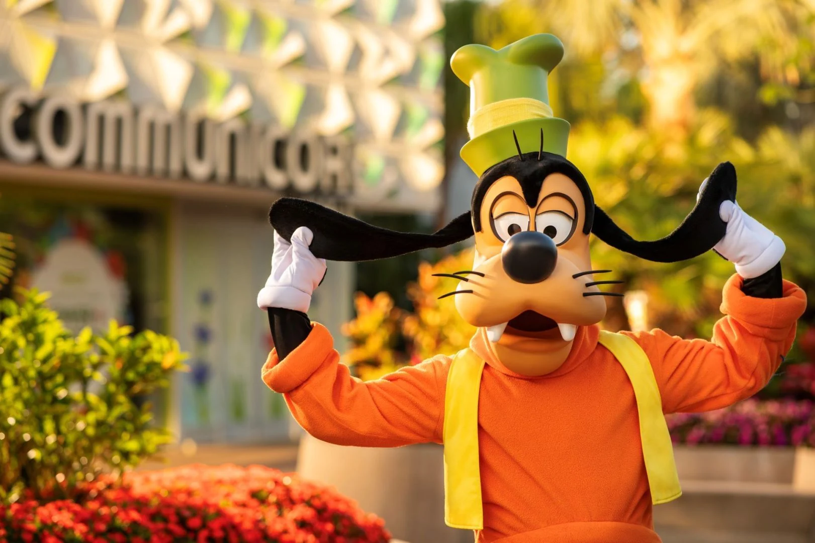 Goofy