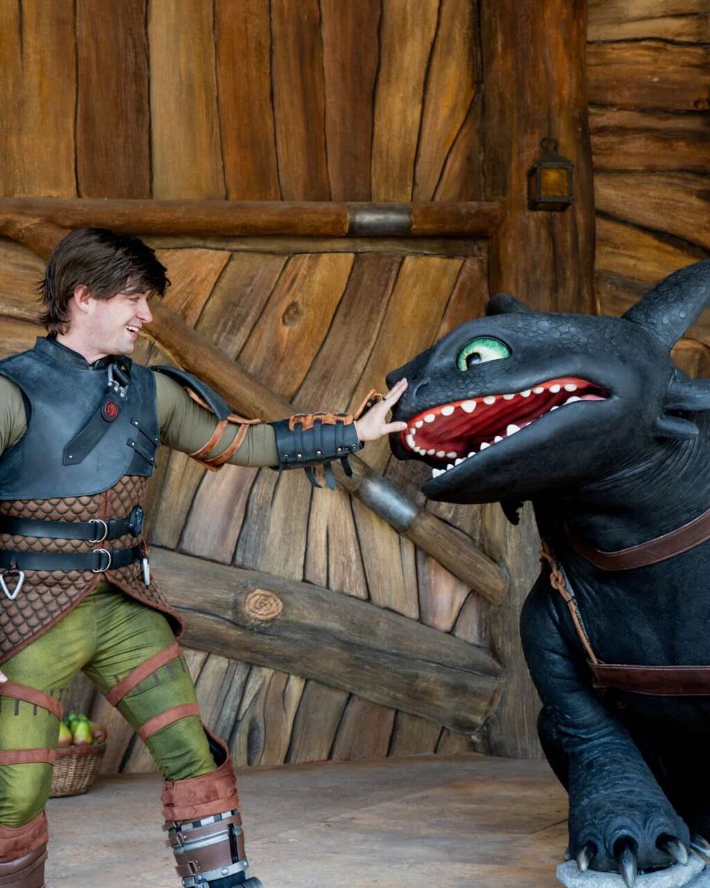 hiccup and toothless