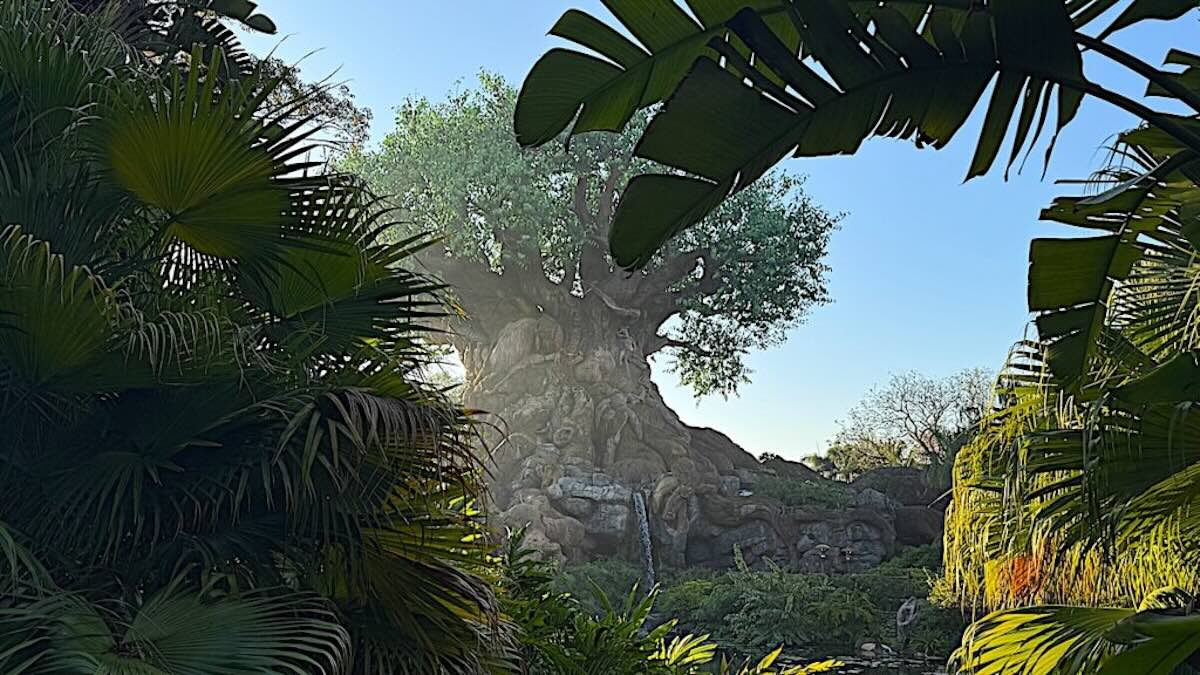 A Fun New Offering Has Begun at Animal Kingdom