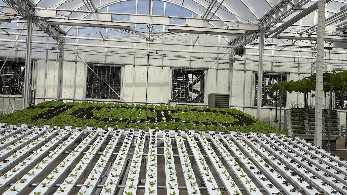 Video: EPCOT Guest Jumps into the Water on Living with the Land