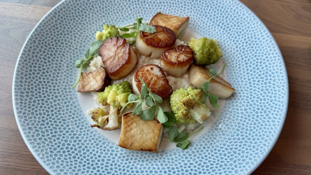 Picture of Scallops Atlantic Epic Universe