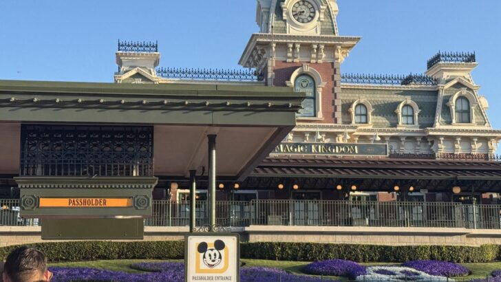 Magic Kingdom Looks Much Different This Morning