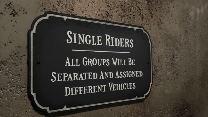 Disney’s World’s Surprising Single Rider Rule