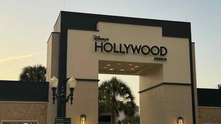 Disney Adds New Attraction to Lightning Lane MultiPass