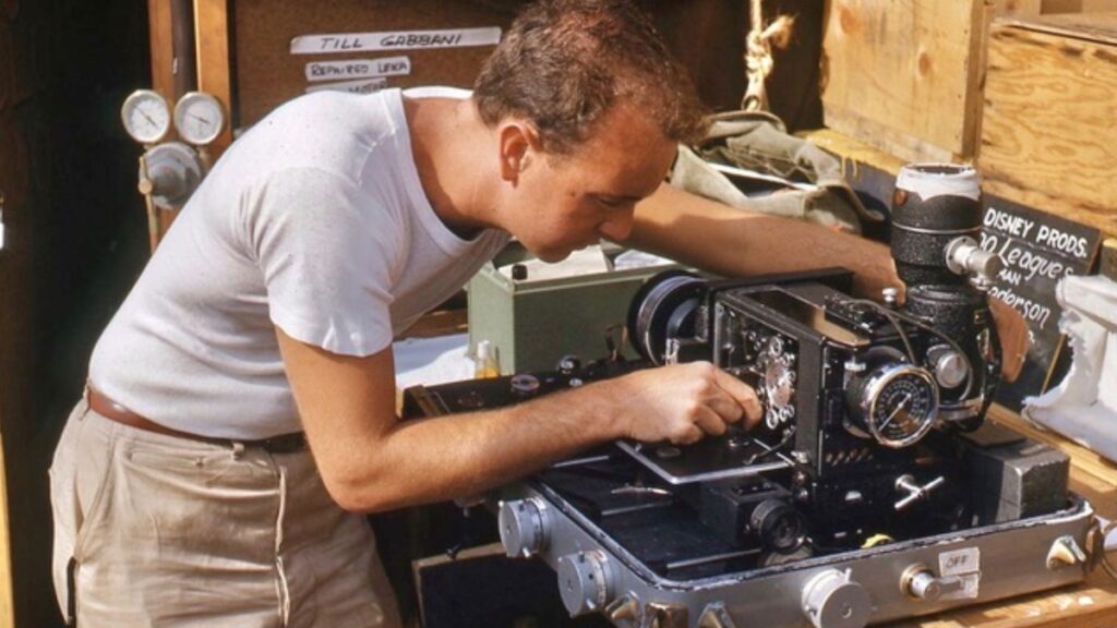 Disneyland Handcrafted picture