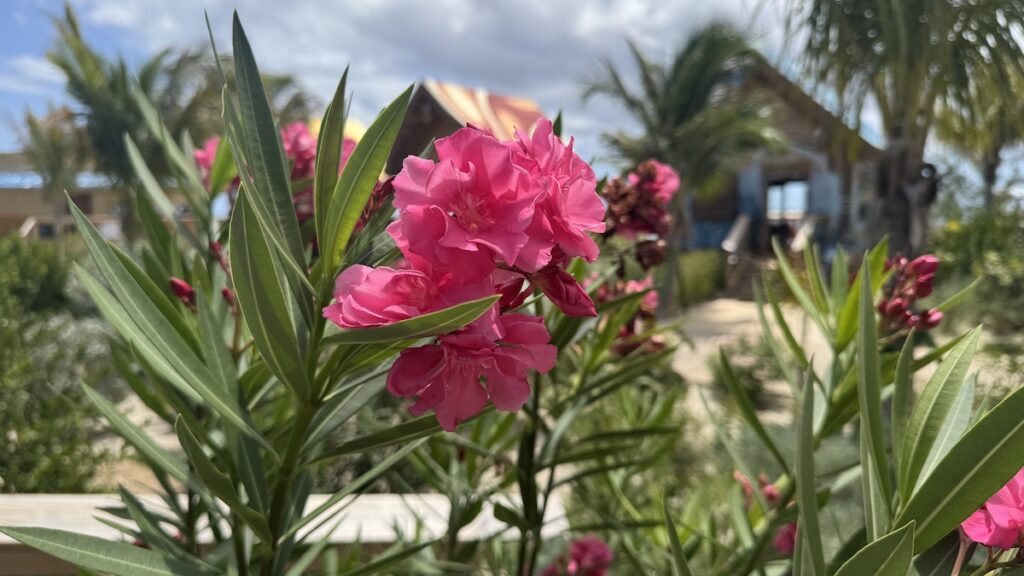 Cabana lookout Cay Disney Cruise Line