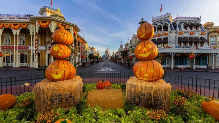 Halloween Decorations Have Arrived At Magic Kingdom