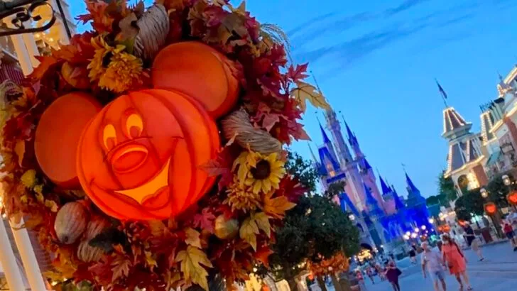 Magic Kingdom to Open Early on These Dates